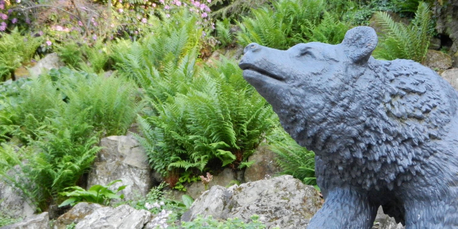 Bären im Schlosspark